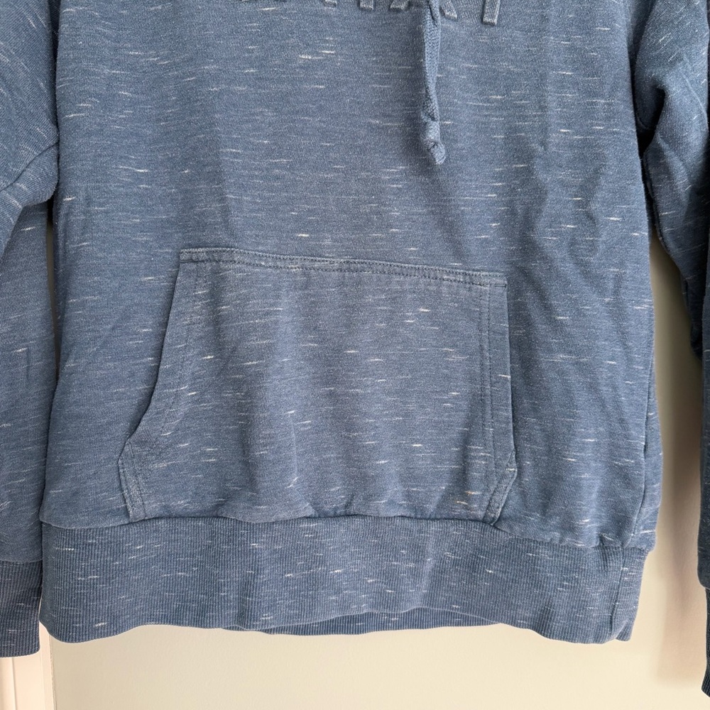Ariat REAL Logo French Terry Heathered Blue Hoodie Sweatshirt - Picture 6 of 15